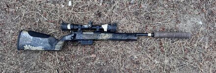 IMG_9110.jpeg