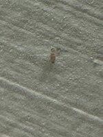 IMG_3546.jpeg