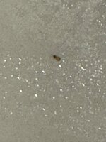 IMG_3543.jpeg