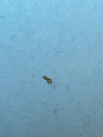 IMG_3542.jpeg