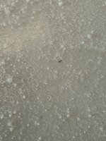 IMG_3561.jpeg