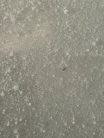 IMG_3560.jpeg