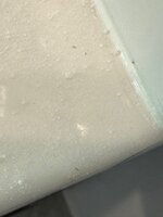 IMG_3567.jpeg
