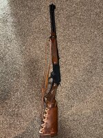 IMG_2029.jpeg