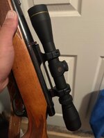 IMG_2182.jpeg