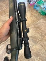 IMG_2180.jpeg