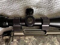 IMG_2809.jpeg