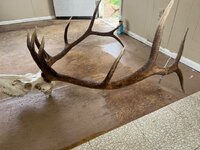 IMG_7321.jpeg