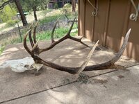 IMG_7315.jpeg