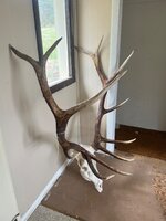 IMG_7313.jpeg