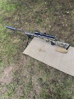 IMG_0313.JPEG IMG_0313.JPEG