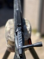 IMG_4171.jpeg