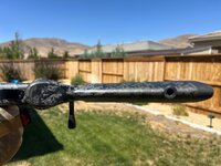 IMG_4176.jpeg