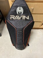 raven 1.jpeg