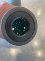 IMG_7873.jpeg