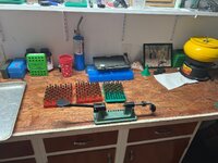 IMG_2908.jpeg