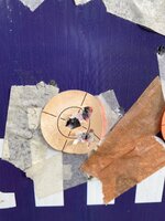 IMG_3555.jpeg