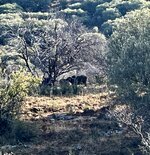 IMG_3220.jpeg