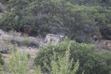 IMG_8047.jpeg