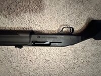 IMG_1597.jpeg