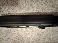 IMG_1598.jpeg