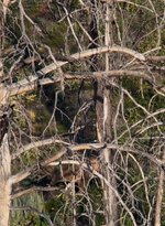 IMG_2373.jpeg
