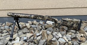 IMG_6532.jpeg IMG_6532.jpeg