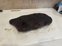 IMG_5984.jpeg