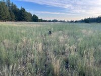 IMG_2918.jpeg