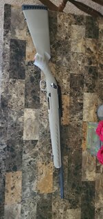 Ruger American.jpg
