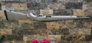 Ruger American 2.jpg