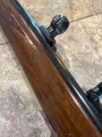 IMG_2177.jpeg