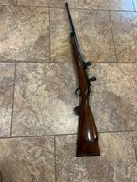 IMG_2176.jpeg