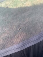 IMG_7738.jpeg