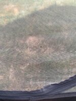 IMG_7739.jpeg