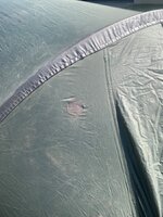 IMG_7729.jpeg