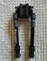 IMG_1981.jpeg