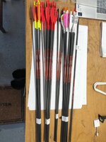 IMG_0793.jpeg