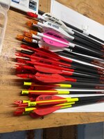 IMG_0797.jpeg