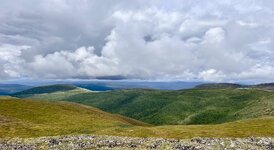 IMG_3106.jpeg