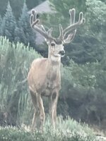 IMG_0622.jpeg