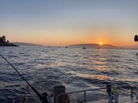 IMG_6636.jpeg