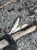 IMG_8892.jpeg