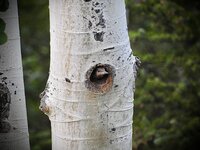 IMG_7187.jpeg