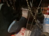 IMG_1331.jpeg