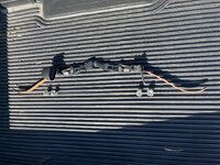 IMG_9296.jpeg