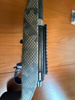 IMG_4365.jpeg