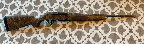IMG_2411.jpeg