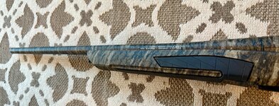 IMG_2410.jpeg