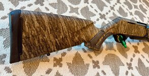 IMG_2414.jpeg